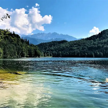 شقة Bachperle Mit Terrasse Im Alpen-landhaus - Zentral Und Gleichzeitig Naturnah Gelegen كيفرسفلدن