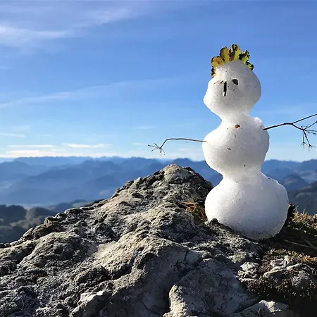 Bachperle Mit Terrasse Im Alpen-landhaus - Zentral Und Gleichzeitig Naturnah Gelegen شقة كيفرسفلدن